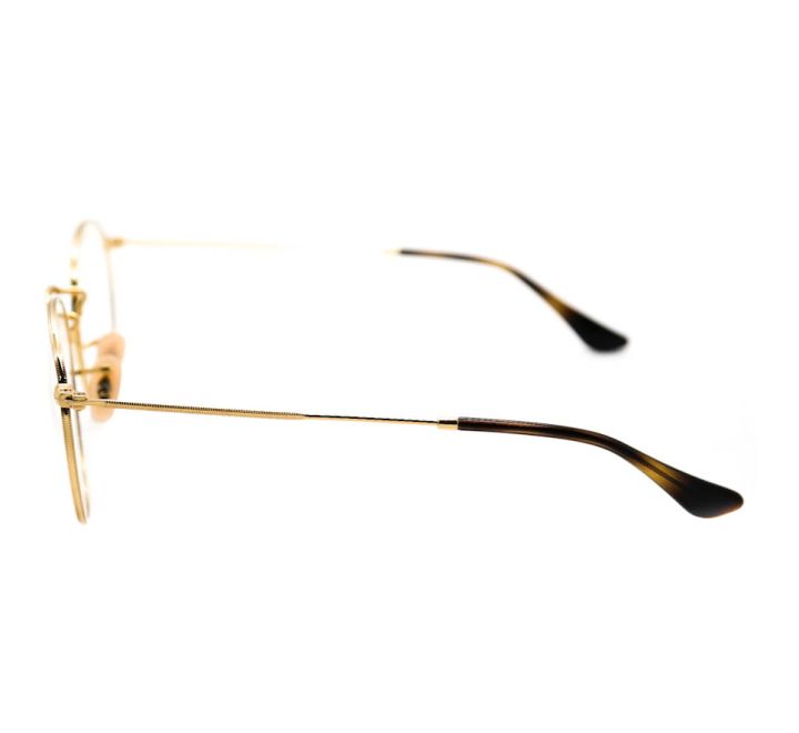 Rayban RB3447V 2500